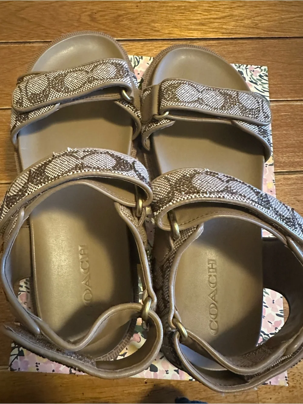 Coach Brown Snake-Print Velcro Comfort Sandals